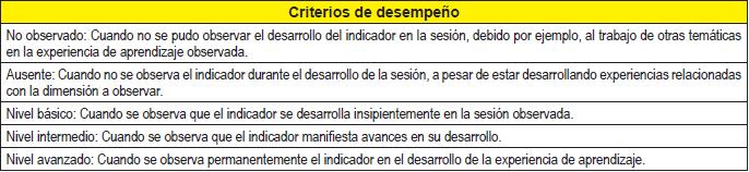 Criterios de desempe&ntilde;o para la observaci&oacute;n de clases