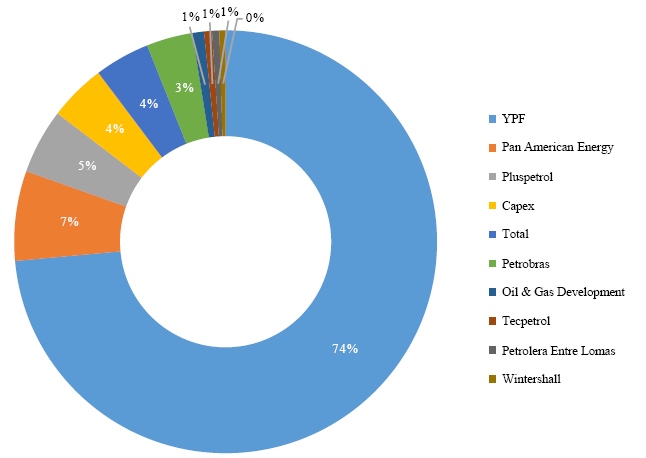 Participación de las 10 empresas que mayor cantidad de pozos shale y tight operan en la cuenca Neuquina, 2017