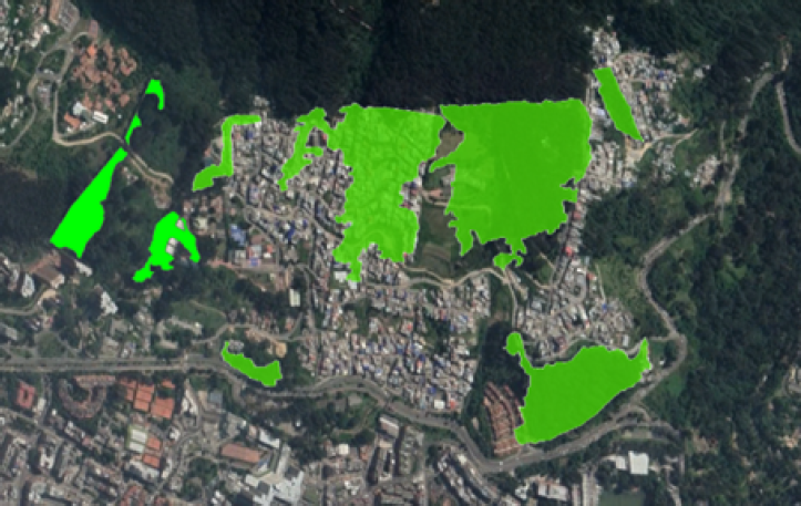 Bosques en el sector de estudio a�o 1986 (21,47 hect�reas)