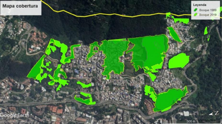 Superposici�n de areas de bosque en 1986 y 2019