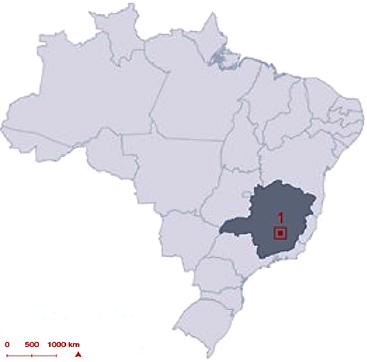 Visitas de campo en Brasil, 2019