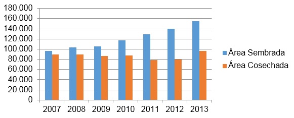 Gráfico 2