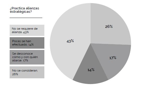 Practica alianzas estratgicas?