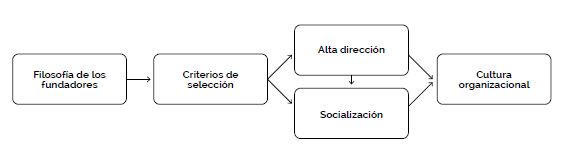 Cmo se forma la cultura de una organizacin