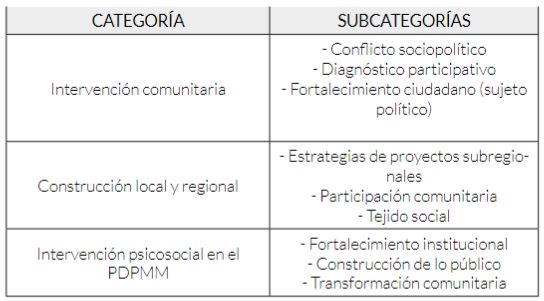 Categoras y subcategoras que emergen en esta investigacin