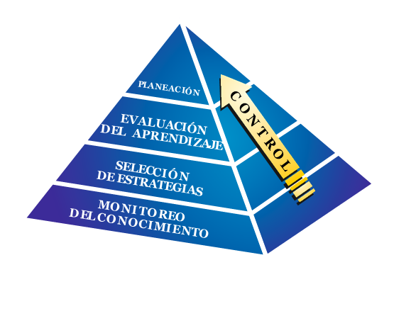Jerarqu�a de los procesos metacognitivos
