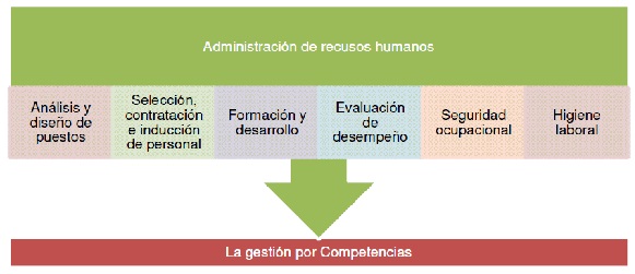  Procesos de la gestión humana