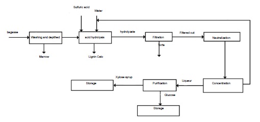 Diagram of the production process of D-xylose and glucose from bagasse