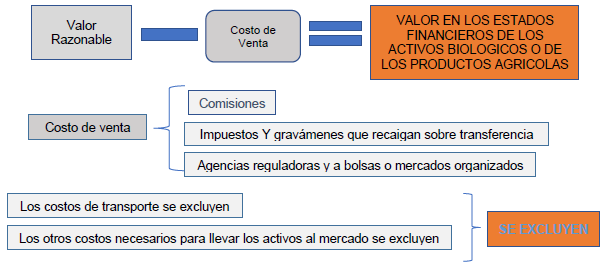 Sistemas contables de los activos biol�gicos y aplicaci�n NIC 41