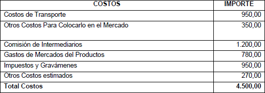 Costos estimados del Punto de Venta