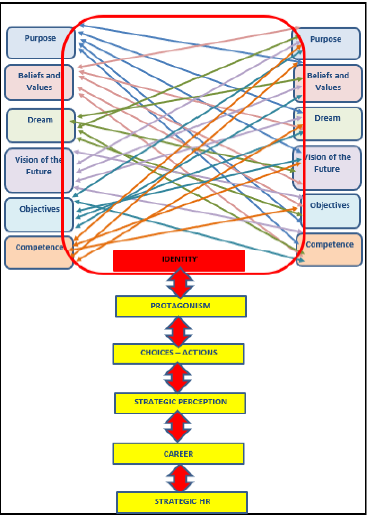Structures of the  MAEP