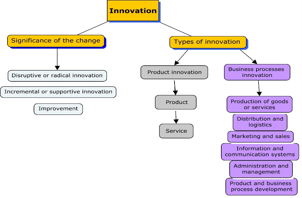 Elements of the innovation variable (results).