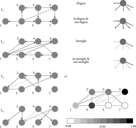 Multilayer Network