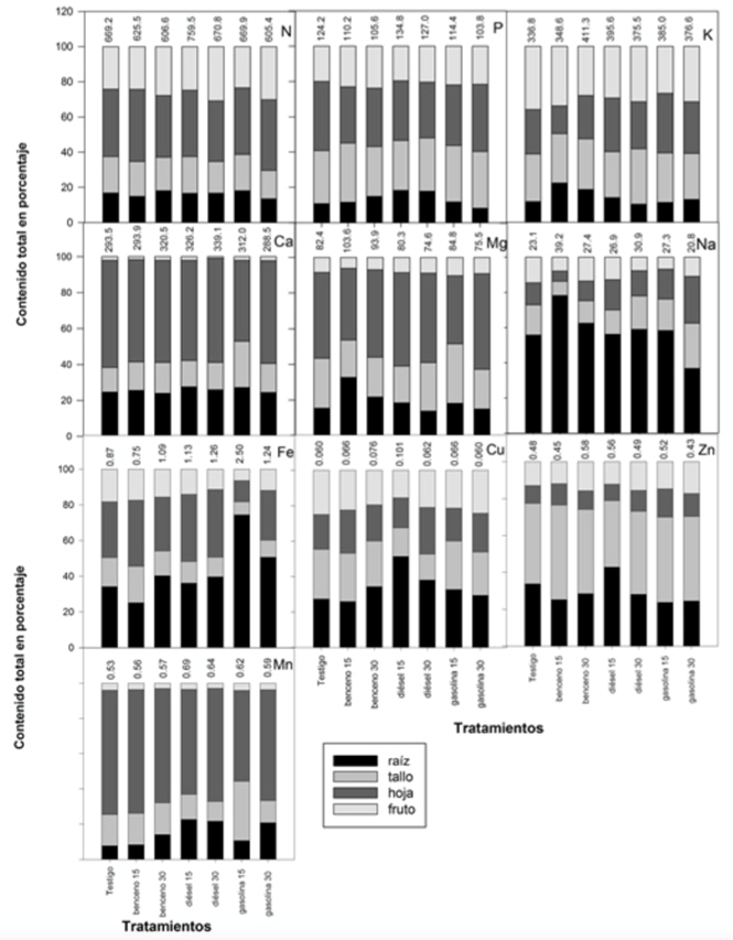 Distribución mineral en raíz, tallo, hoja y fruto de plantas de tomate tratadas con solución nutritiva Steiner (Testigo) y dos concentraciones de benceno diésel y gasolina. Los valores en la parte superior de las barras representan la concentración total absorbida en m mol kg-1.