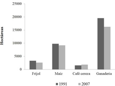 Comportamiento de los principales productos de la actividad primaria de acuerdo a los censos agropecuarios de 1991 y 2007, para los municipios de Berrioz&aacute;bal, San Fernando y Tuxtla Guti&eacute;rrez