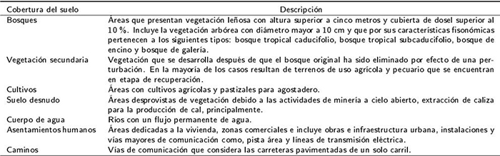 Clases utilizadas en el mapeo de la cobertura forestal y usos del suelo.