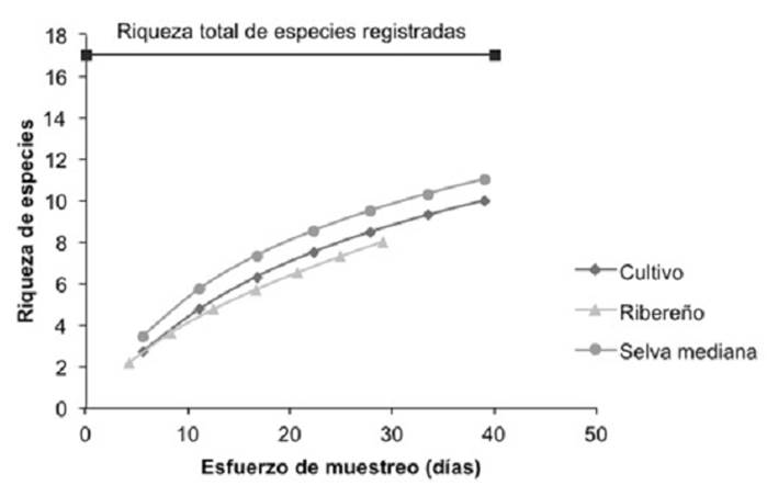 Riqueza y diversidad de especies por sitios de muestreo en el &aacute;rea privada de conservaci&oacute;n Talhpan, Papantla, Veracruz, M&eacute;xico.