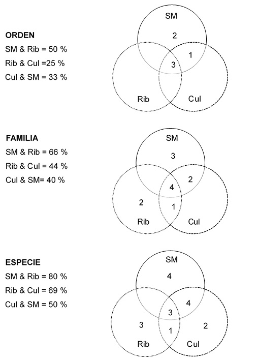 Complementariedad a diferentes niveles taxon&oacute;micos; los valores dentro de los c&iacute;rculos representan los taxa incluidos en cada sitio; los porcentajes representan el valor del &iacute;ndice de complementariedad de Colwell y Coddington (1994). &lowast;SM: Selva Mediana, Rib: Ribere&ntilde;o, Cul: Cultivo.