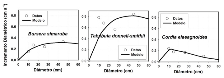 Incrementos diam&eacute;tricos de tres especies de la selva mediana subcaducifolia.