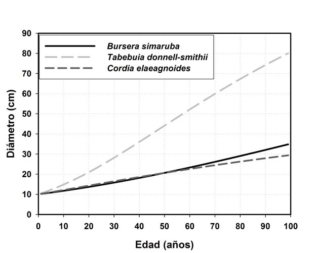 Crecimiento en di&aacute;metro derivado del modelo de Chapman-Richards para los incrementos diam&eacute;tricos de tres especies de la selva mediana subcaducifolia.