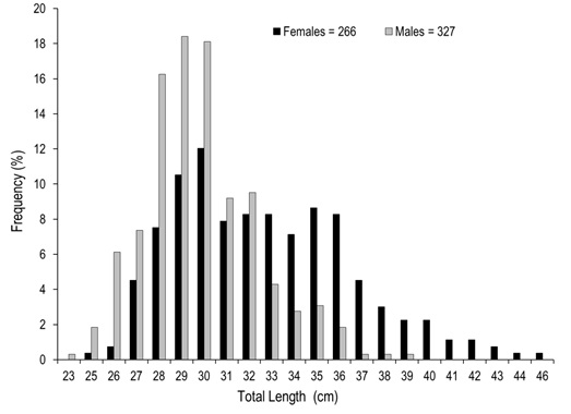 Total length frequency distribution of A. grunniens collected in the Usumacinta River, Tabasco, Mexico.
