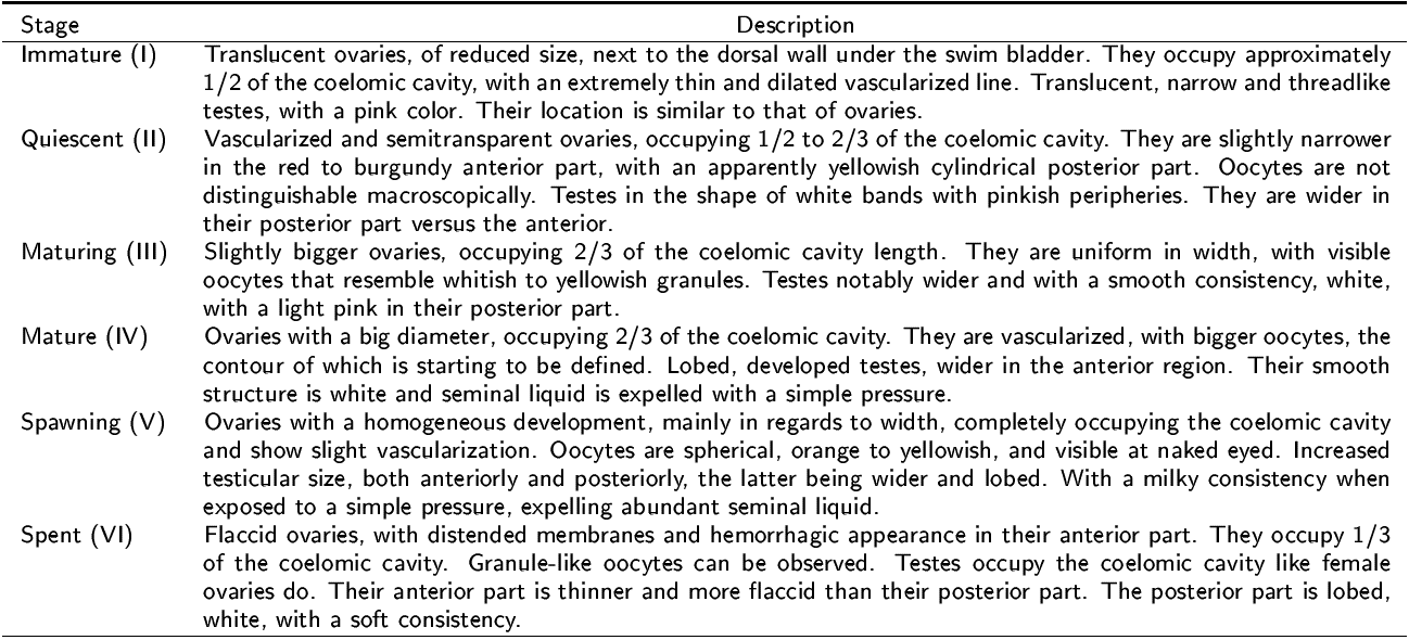 Macroscopic description of gonad maturity stages of A. grunniens from the Usumacinta River, Tabasco, Mexico (based onNikolsky, 1963).
