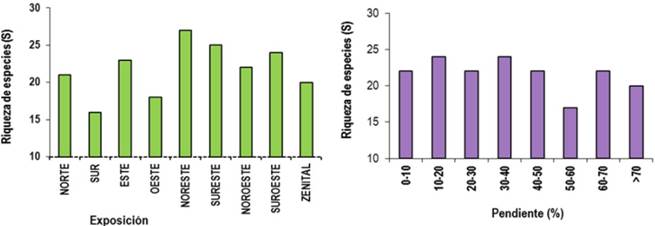 Riqueza de especies por exposici&oacute;n y pendiente.