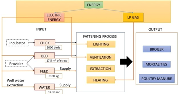 Main inputs for the production of 1 000 broilers on a farm in the Municipality of Taretan in a 49-d production cycle.
