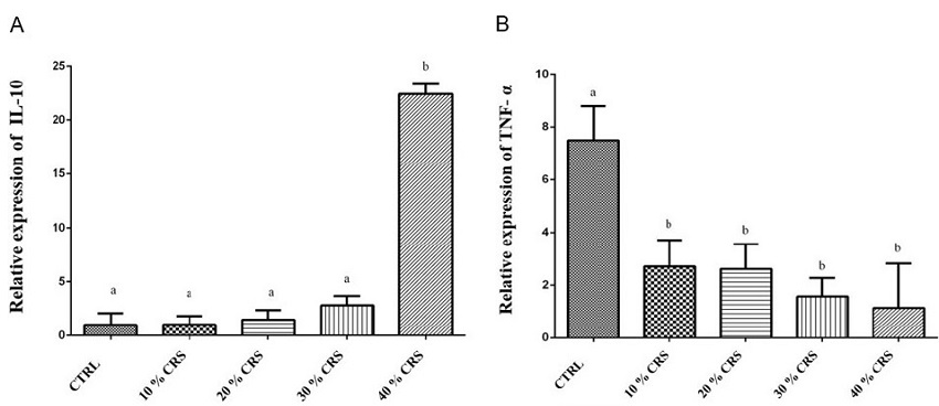 Relative mRNA expression of IL-10(A) and TNF-α(B) genes related to inflammatory process in the middle colon region of rabbits fed chia waste subjected to experimental colitis. CTRL, diet without residues of chia; percentage of chia residue content in diets (10% CRS, 20% CRS, 30% CRS and 40% CRS). Different letters denote significant differences (P < 0.05); values are presented as the mean ± standard deviation.