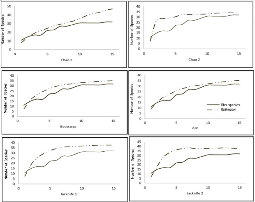 Total number of cactus species and analysis of diversity estimators.