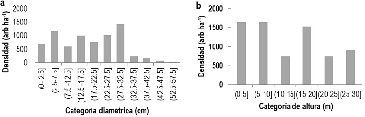 Estructura horizontal (a) y vertical (b) del sistema agroforestal de café.