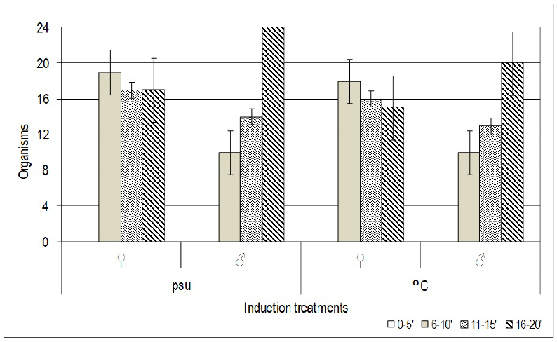 Average time to the initiation of spawning for males and females of the oyster Crassostrea virginica, for each one of the techniques.