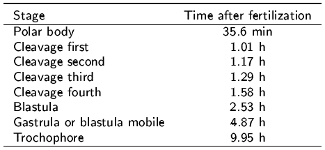 Timing of the early embryonic development of Crassostrea virginica under laboratory conditions.