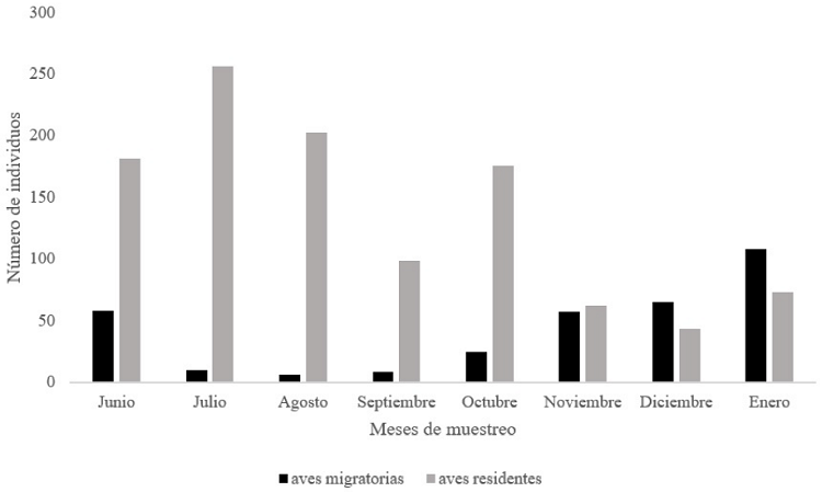 Abundancia de aves residentes y migratorias por mes de estudio.