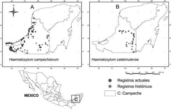 Registros de presencia hist&oacute;rica, anteriores a 2010 (Plasencia et al. 2017) y actuales (2014-2017) de Haematoxylum campechianum L. y Haematoxylum calakmulense Cruz Dur&aacute;n & M. Sousa, en el estado de Campeche, M&eacute;xico. *Ilegibilidad de la imagen fuente. 