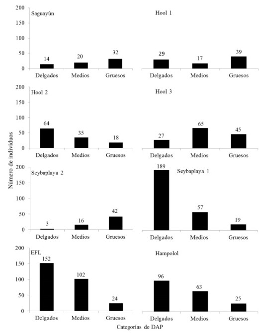 Di&aacute;metro a la altura del pecho (DAP, &asymp; a 1.30 m de altura) de los individuos de Haematoxylum calakmulense Cruz Dur&aacute;n & M. Sousa (Saguay&uacute;n) y Haematoxylum campechianum L., en ocho sitios del estado de Campeche, M&eacute;xico. Individuos delgados: 1 a 7.57 cm, medios: 7.58 a 16.75 cm y gruesos 16.76 a 62.4 cm. *Ilegibilidad de la imagen fuente