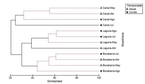 Dendrograma de clasificación de los muestreos de avifauna realizados por mes y hábitat en el sistema lagunar La Joya-Buenavista. Líneas punteadas indican grupos no separados significativamente (SIMPROF, p < 0.05)