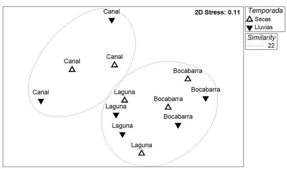 Ordenación nMDS de los eventos de muestreo en el sistema lagunar La Joya-Buenavista. Categorizaciones presentadas por hábitat y temporada. Las elipses punteadas indican los grupos formados a una similitud de 22%