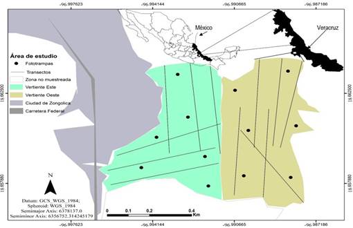 &Aacute;rea de estudio en el Cerro de Acontencatl. El cerro se dividi&oacute; en dos zonas de muestreo, Vertiente Este y Oeste. Se muestran los transectos (l&iacute;neas en negro), las fototrampas (puntos negros) y las zonas aleda&ntilde;as al &aacute;rea de estudio