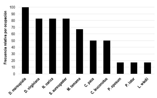 Frecuencia relativa por ocupaci&oacute;n (FRO) de mam&iacute;feros del cerro Acontecatl, Zongolica, Veracruz