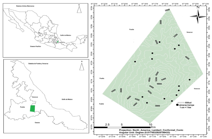 Pol&iacute;gono del PNPO y disposici&oacute;n de las c&aacute;maras trampa para el monitorio de mam&iacute;feros medianos