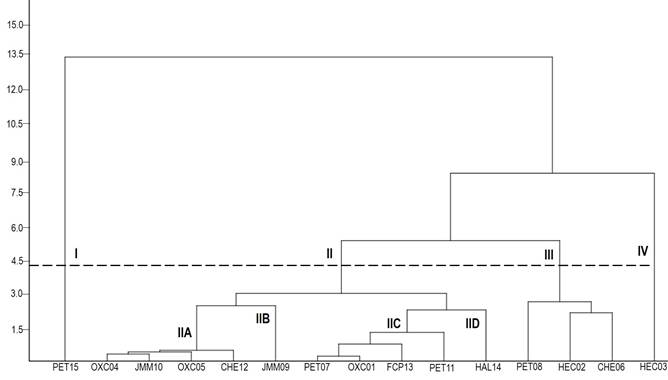 Análisis de conglomerado de las 15 colectas de frijol caupí de la península de Yucatán con base al análisis de dispersión por distancia euclidiana mediante el método de UPGMA con las variables morfológicas