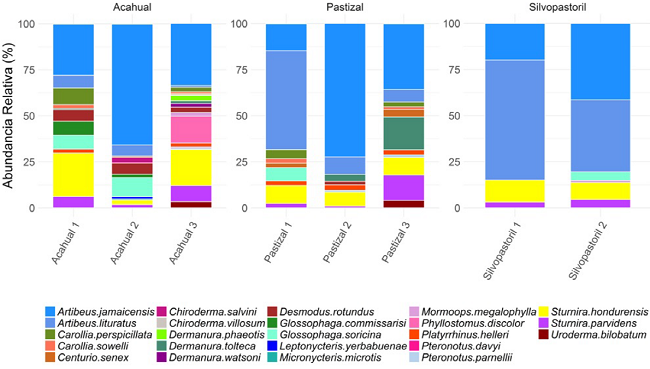 Composici&oacute;n de las comunidades de murci&eacute;lagos por sitio de muestreo.