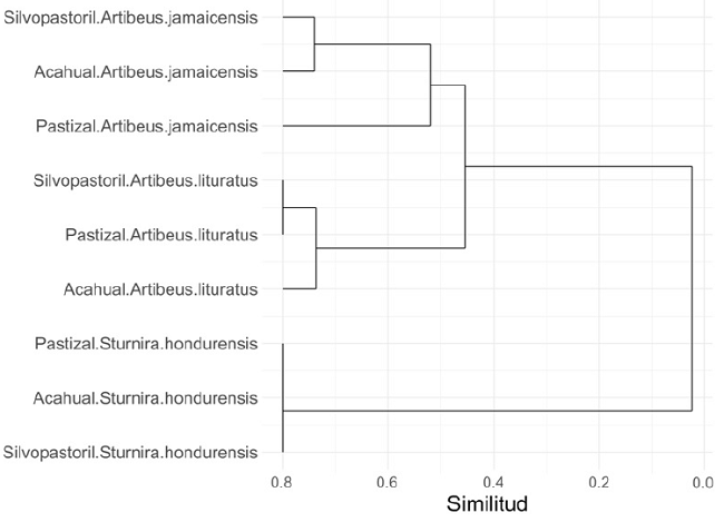 Dendograma de similitud de Morisita-Horn de las comunidades de ectopar&aacute;sitos por tipo de paisaje de los tres hospederos generalistas (A. jamaicensis, A. lituratus y S. hondurensis).