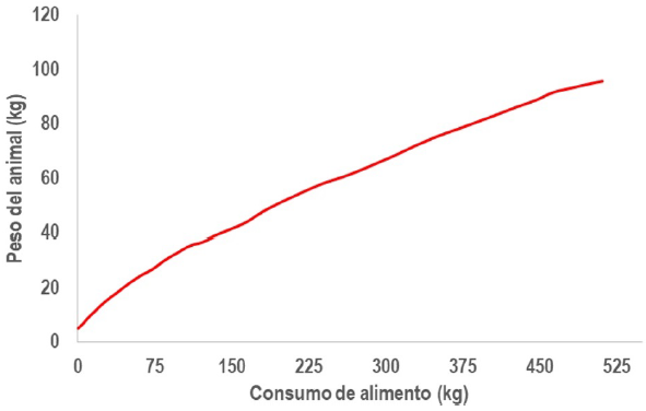Funci&oacute;n de producci&oacute;n en la engorda del cerdo pel&oacute;n mexicano.