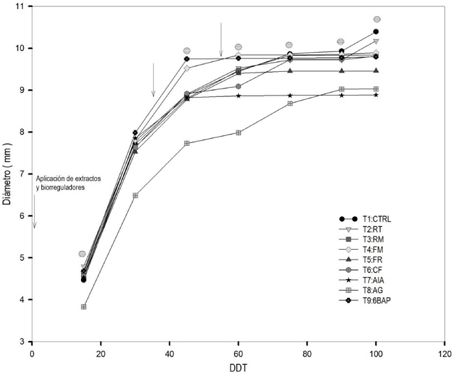 Crecimiento de di&aacute;metro de tallo. Cada punto representa la media de 12 repeticiones;  Representa diferencia estad&iacute;stica significativa (p &le; 0.05).