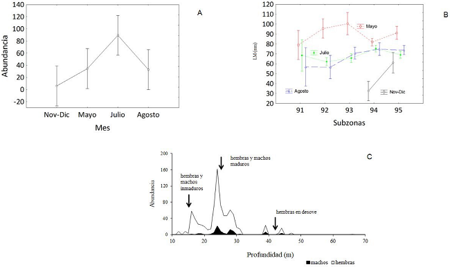 Lolliguncula panamensis. A) Comparación temporal de abundancias, F (3, 16) = 5.0940, p = 0.1154; las barras verticales indican intervalos de confianza de 0.95. B) Comparaciones múltiples de talla entre sub-zonas de muestreo, F (9, 776) = 6.0559, p < 0.05; las barras verticales indican intervalos de confianza de 0.95. C) Distribución de la abundancia por intervalos de profundidad.