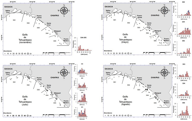 Distribución y abundancia espacio-temporal de L. panamensis en el Golfo de Tehuantepec. A) noviembre-diciembre, febrero; B) mayo; C) julio; D) agosto.