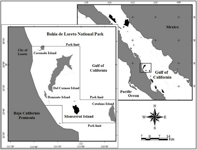 Location of Monserrat Island in the Gulf of California, Mexico.