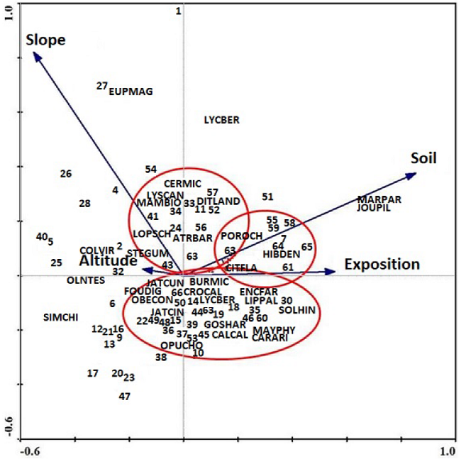Analysis of canonical correspondence with plant species, importance value index (IVI) and the most significant environmental variables in 66 vegetation transects on the Monserrat Island, Gulf of California, Mexico.